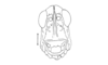 Moluchacris nigripes Cigliano, 1989: Fig. 84. male head, frontal view. (Otu).