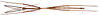 CollectionObject 1567615; 803e8e45-f31c-488d-ae30-c12de440af05: copyright Brussels. male, dorsal view (paratype). (CollectionObject).;CollectionObject 1567616; acf2328f-c402-441c-b28e-e7ca43a45d1d: copyright Brussels. male, dorsal view (paratype). (CollectionObject).;CollectionObject 1567617; 54e7e8da-4583-4543-a2f4-a88723df4de3: copyright Brussels. male, dorsal view (paratype). (CollectionObject).