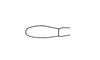 Episomacris tarsata Carbonell & Descamps, 1978: Fig. 6. female, final segment to of maxillary palp. (Otu).