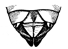 Tetrixocephalus micropterum Ronderos, 1970: Fig. 3. female abdomen tip, dorsal view (allotype). (Otu).