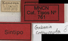 CollectionObject 1535919; d24c0490-9f3f-4c0e-b9c0-c9874d48aa41: labels (syntype). (CollectionObject).