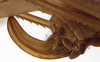 CollectionObject 1529780; 54d9f6c1-35b8-4a9f-bbd4-829139cdfc08: female ovipositor (holotype). (CollectionObject).