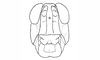 Dichroplus paraelongatus Carbonell, 1968: Fig. 70. head, frontal view. (Otu).