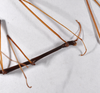CollectionObject 1558065; 309efa1f-0c8a-46ff-9b9b-cfaadde6c3f6: copyright ZMHB, Berlin. male: head & thorax, lateral view (holotype). (CollectionObject).