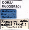 CollectionObject 1552389; 2a71a415-1861-4edd-84f7-2837bc7597fc: labels. (CollectionObject).