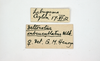 CollectionObject 1580132; be851a1c-34e6-4de2-bcf3-5196af8fa919: labels. (CollectionObject).