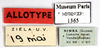 CollectionObject 1587337; MNHN(SF IMPORT DUPLICATE) MNHN-EP-EP1365, d68b6114-ac4a-4d03-9c1a-6f1074ed4282: CC BY-NC-ND 4.0/MNHN - Depraetere Marion - 2014. Paratype, female, of incisura Grandcolas, 1994. Specimen number: MNHN-EP-EP1365. http://coldb.mnhn.fr/catalognumber/mnhn/ep/ep1365. (CollectionObject).