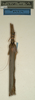 CollectionObject 1562250; NMW 994, 2949a941-3830-4b6c-8d72-d393f8210b6e: copyright NMW, Vienna. female (holotype). (CollectionObject).