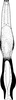 Aedeagus, ventral view: Aedeagus, ventral view. (Observation).