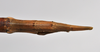 CollectionObject 1558564; 3ae685c8-f1c6-4bd0-85f7-d0b8fa72a781: copyright NTUC. female: end of abdomen, dorsal view (syntype). (CollectionObject).;CollectionObject 1558565; b09dd22e-7f33-4771-b1d9-24d893a97422: copyright NTUC. female: end of abdomen, dorsal view (syntype). (CollectionObject).