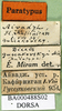 CollectionObject 1576976; 9541dc08-640f-4f7b-aab6-72078700bb11: labels (paralectotype). (CollectionObject).