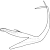 Aedeagus, lateral view on Edwardsiana munda (McAtee, 1926): Aedeagus, lateral view. (Observation).