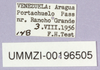 CollectionObject 1499690; c82455dd-b883-4e51-b472-8171a827ed61: labels. (CollectionObject).