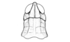 Maeacris aptera Ronderos, 1983: Fig. 2. male, head and pronotum, dorsal view. (Otu).