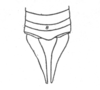 Ceuthophilus (Ceuthophilus) brevipes Scudder, 1862: Fig. 587. male abdomen tip. (Otu).