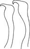 Stylus: Stylus. (Observation).