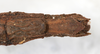 CollectionObject 1558172; 8948cf4d-207b-4e67-b86b-569924ea49cf: copyright NMW, Vienna. female: end of abdomen, ventral view (syntype) copyright NMW, Vienna. (CollectionObject).;CollectionObject 1558173; 08870ce4-b04c-4543-a31f-b1409d0348f5: copyright NMW, Vienna. female: end of abdomen, ventral view (syntype) copyright NMW, Vienna. (CollectionObject).