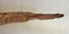 CollectionObject 1557657; USNM(SF IMPORT DUPLICATE) 6979, 77c18e84-e2f7-4abf-824c-6ae28f636772: copyright USNM, Washington. (CollectionObject).