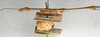 CollectionObject 1558079; f43a6106-40eb-407d-a539-9513655dcadd: copyright NMW, Vienna. male. lateral view (holotype). (CollectionObject).