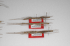 CollectionObject 1562997; be764e92-0c4c-42ab-b77e-4d7669792f95: copyright ZSMC, Munich. females (paratypes). (CollectionObject).;CollectionObject 1562998; 6c453e8d-c8c8-486e-ae7d-5e8454bc9a17: copyright ZSMC, Munich. females (paratypes). (CollectionObject).;CollectionObject 1562999; 64ac46e3-d6ce-4b6d-b120-a06f0a01a18a: copyright ZSMC, Munich. females (paratypes). (CollectionObject).