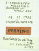 CollectionObject 1585784; 9fff5aea-b70e-4b8c-ae62-9b8c0bd0b6d6: female, labels (syntype). (CollectionObject).