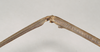 CollectionObject 1558126; NHMUK(SF IMPORT DUPLICATE) 844529, f17eebe6-fbee-4f8b-8d6d-e9faec8489db: copyright Natural History Museum, London. female: close-up of mid femora subapical spines (holotype). (CollectionObject).