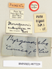 CollectionObject 1518371; b424aae8-0eb4-40e6-9bfe-b2baaa663fd1: male, labels (holotype). (CollectionObject).