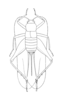 Rehniella glaphyra Hebard, 1928: Plate V. Fig. 1. Female. Whole insect. Dorsal outline of allotype. (Otu).
