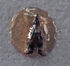CollectionObject 1539786; 747c76a0-2136-430e-95a7-57899992f6a5: male titillator (holotype). (CollectionObject).