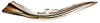 Ovipositor: Neoaliturus carbonarius, 1st valvula (INHS). (Observation).