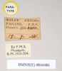 CollectionObject 1560146; b9ecc75e-5989-4ebf-8a39-ca595776ac77: copyright Natural History Museum, London. female, data labels (paratype). (CollectionObject).;CollectionObject 1560147; 54bfe3af-922c-433d-be67-3aa34f21aaab: copyright Natural History Museum, London. female, data labels (paratype). (CollectionObject).