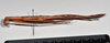 CollectionObject 1558577; NTUC 723, 3f74161b-0c62-46e4-9d98-7d7d23d7bdc2: copyright NTUC. female, lateral view of synonym Entoria nagoensis (holotype). (CollectionObject).