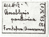CollectionObject 1581949; 18f36afc-6864-4927-aae3-0b12fa73aa8a: labels (syntype). (CollectionObject).