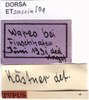 CollectionObject 1567132; 99848590-77de-4ce7-b38e-999062a15c11: labels (syntype). (CollectionObject).