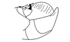 Barypygiacris hodeberti Descamps, 1979: Fig. 110. male abdomen tip, lateral view. (Otu).