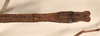 CollectionObject 1557975; ce4627cc-215c-49b8-89ef-d2c6d1c16915: copyright OUMNH. male: end of abdomen, dorsal view (holotype). (CollectionObject).