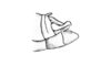 Hazelacris nigrovittatus Ronderos, 1981: Fig. 14. male abdomen tip, lateral view. (Otu).