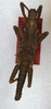 Tisamenus tagalog (Rehn & Rehn, 1939): copyright ANSP. male (holotype). (Otu).
