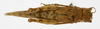 CollectionObject 1579399; 7cbe2780-69cc-4024-b8e1-21a8fae2e3f3: female, dorsal view (paratype). (CollectionObject).
