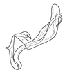 Aedeagus, lateral view on Coarctana occultata Domahovski & Cavichioli, 2023: Male holotype [MUSM]: aedeagus, lateral view. (Observation).