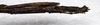 CollectionObject 1584625; 9c1de9bd-ea83-4a18-8448-f990b3397e64: (CollectionObject).