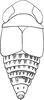 Habitus, dorsal view on Diacra gazellaecornis Dlabola, 1984: Habitus. (Observation).