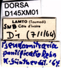 CollectionObject 1505207; 79de3ce9-7585-41e6-8c6d-e8f50fcda6a1: labels. (CollectionObject).