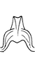 Connective on Mileewa (Mileewa) margheritae Distant, 1908: Connective. (Observation).