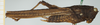 CollectionObject 1518014; 2c6b1f49-fd53-4ace-9b3a-bf172923fc79, NHMUK010924496: female, lateral view (holotype). (CollectionObject).