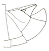 Peringueyacris namaqua (Péringuey, 1916): Fig. 25.4. end of male abdomen, lateral view. (Otu).