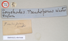 CollectionObject 1561742; NHMUK(SF IMPORT DUPLICATE) 845008, fc9b17cc-94ea-4e9b-a418-45edf38a4f23: copyright Natural History Museum, London. male, data labels [round label reversed] (holotype). (CollectionObject).