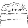 Abdomen, tergite II apodemes: Abdomen, tergite II apodemes. (Observation).