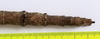 CollectionObject 1597679; 0c981c47-2724-4cb7-9f80-a067884b2742: copyright CEIOC Rio de Janeiro. female of synonym Cladomorphus petropolisensis: end of abdomen, dorsal view (holotype). (CollectionObject).
