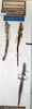 CollectionObject 1561803; NMW 374, bca4ed78-89a7-4317-bc99-35ee6daee869: copyright NMW, Vienna. female (syntypes). (CollectionObject).